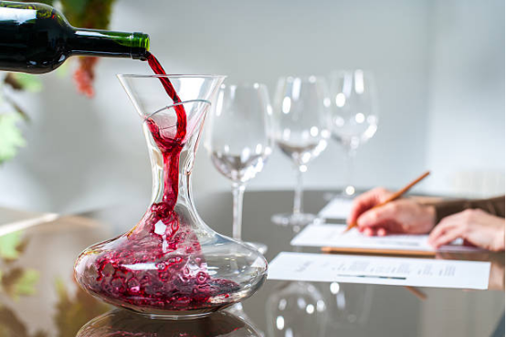 Blog 13 Large Capacity Wine Decanter for Entertaining